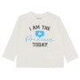 CAMISETA MANGA LARGA NIÑA CAMISETA MANGA LARGA NIÑA
