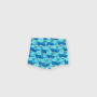 Boy's boxer shorts, blue Boy's boxer shorts, blue