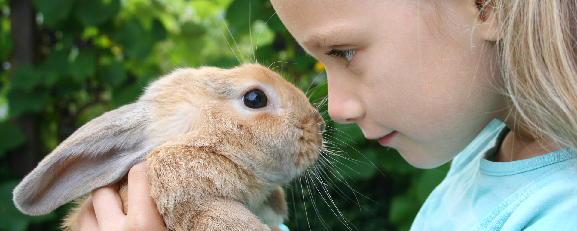 Luoghi speciali per animali felici